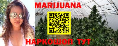 индика Бузулук