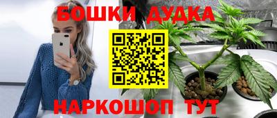 индика Будённовск
