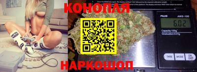 индика Будённовск