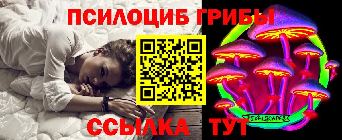 Галлюциногенные грибы Psilocybine cubensis  Вход с VPN  Острогожск 